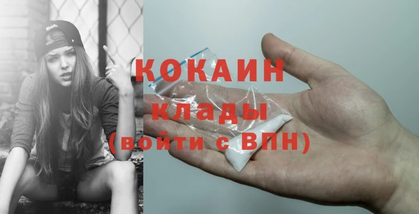 мяу мяу мука Гусь-Хрустальный